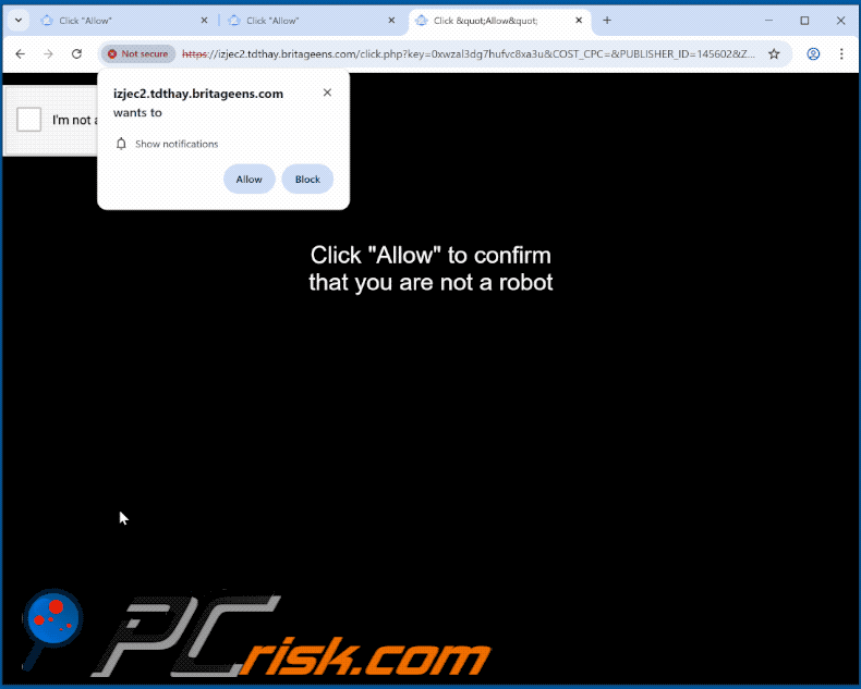 britageens[.]com website appearance (GIF)