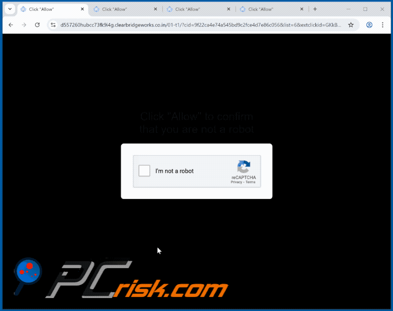 clearbridgeworks.co[.]in website appearance (GIF)