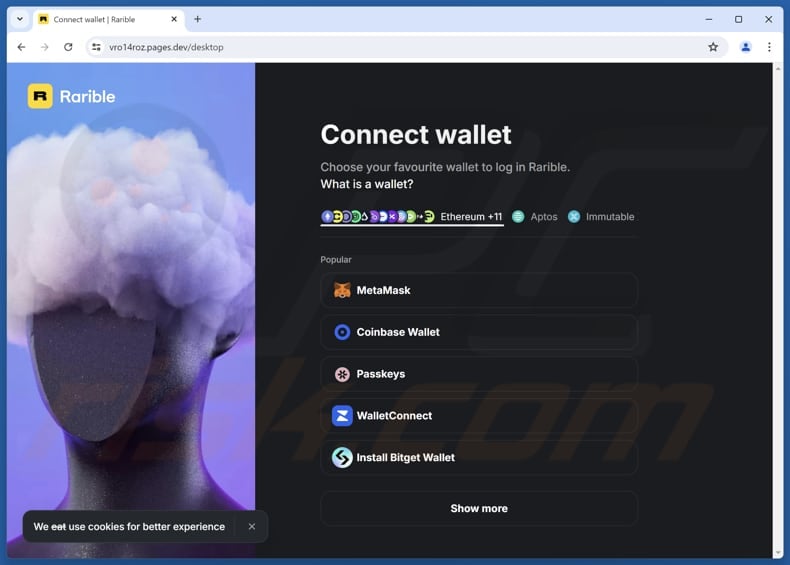 Fake Rarible website scam