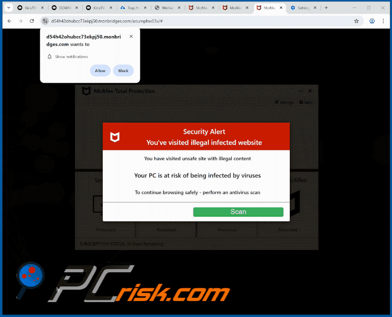 monbridges[.]com website appearance (GIF)
