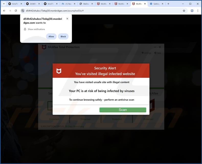 monbridges[.]com ads