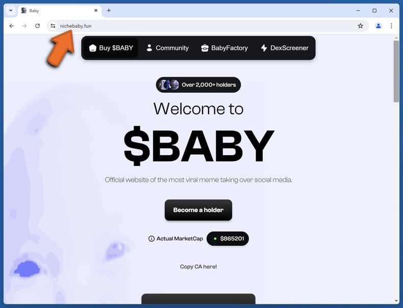 Appearance of the real Niche Baby website (nichebaby.fun)