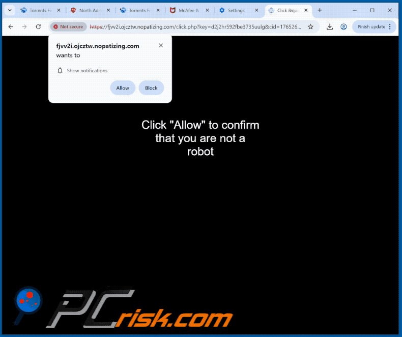 nopatizing[.]com website appearance (GIF)