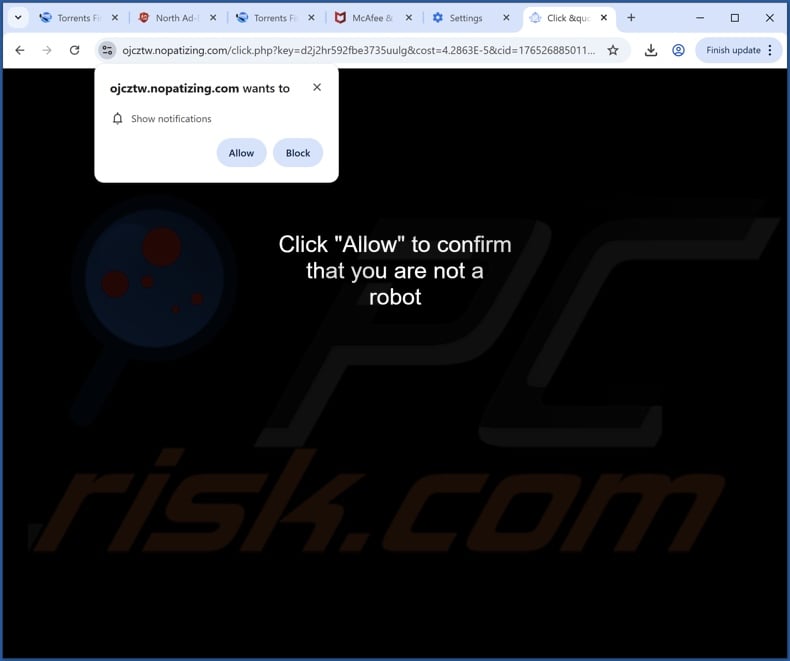 nopatizing[.]com pop-up redirects