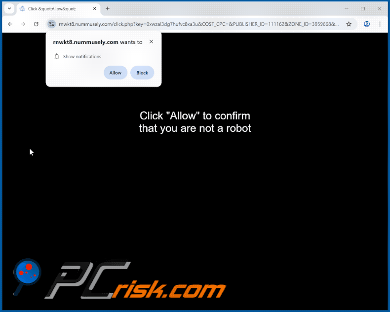 nummusely[.]com website appearance (GIF)