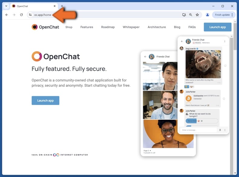 Appearance of the real OpenChat website (oc.app)