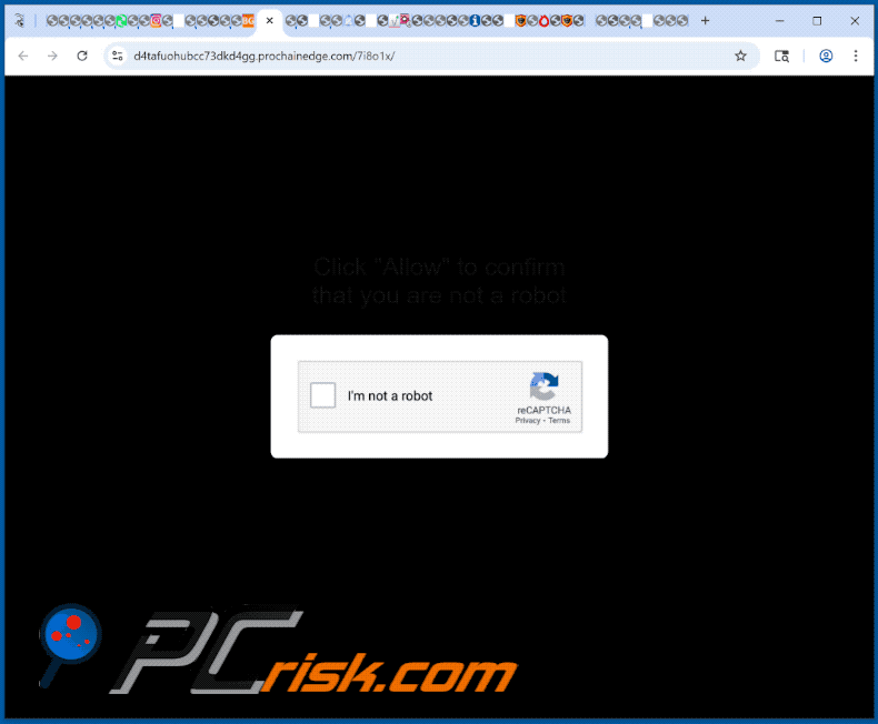 prochainedge[.]com website appearance (GIF)