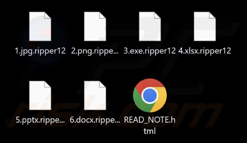 Files encrypted by Ripper ransomware (.ripper12 extension)