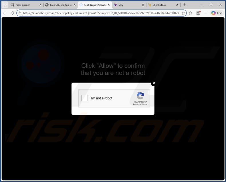 sulatinborry.co[.]in ads