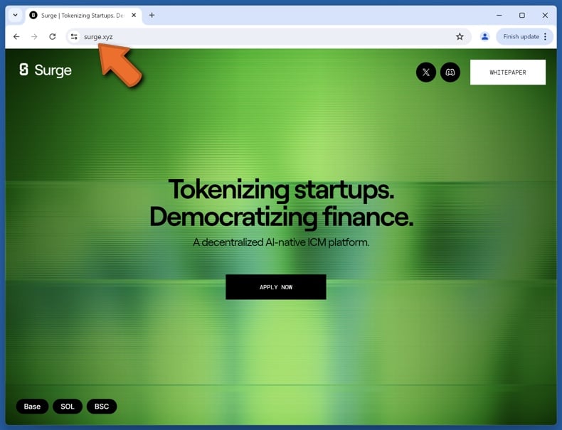 Appearance of the real Surge website (surge.xyz)