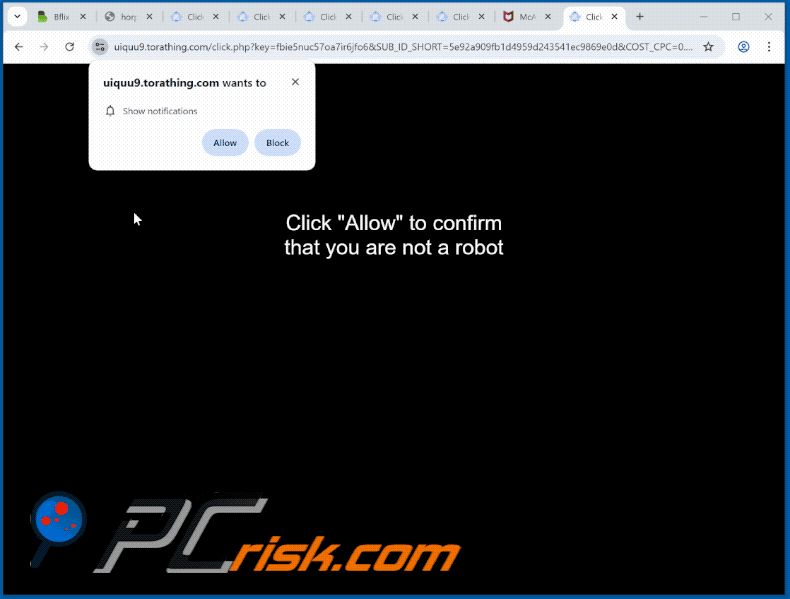 torathing[.]com website appearance (GIF)