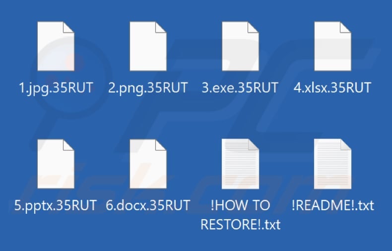 Files encrypted by VantaBlack ransomware (.35RUT extension)