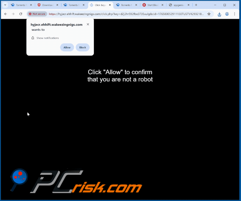wakeezingnigs[.]com website appearance (GIF)