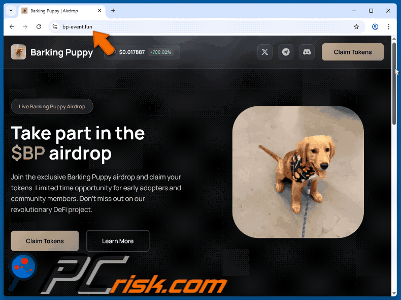Appearance of the fake Barking Puppy ($BP) Airdrop website (GIF)