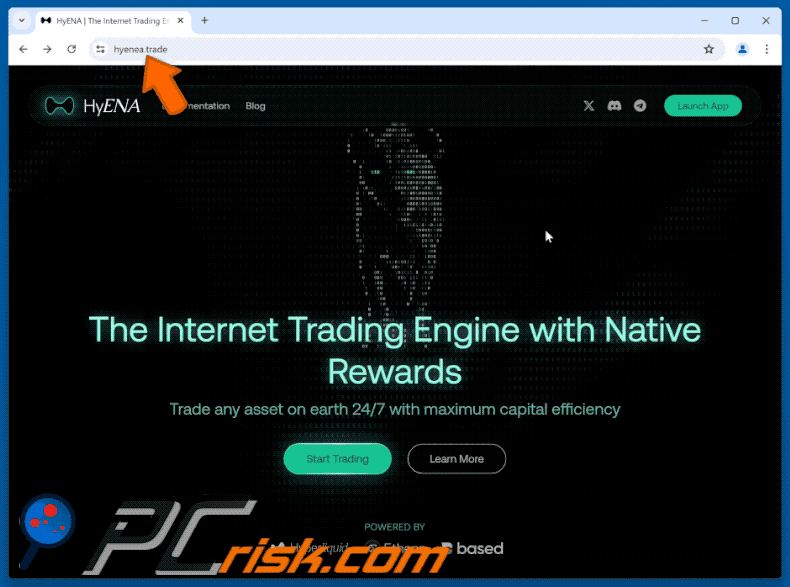 Appearance of the fake HyENA trading platform website (GIF)