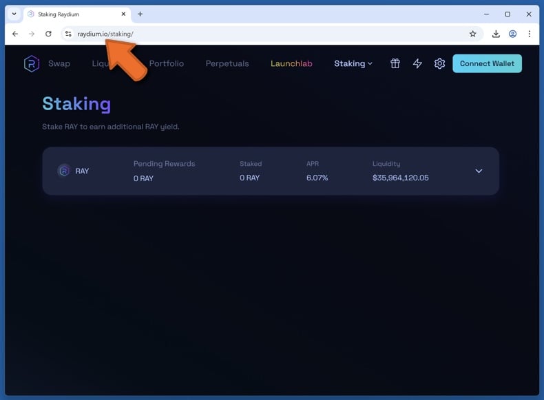 Appearance of the real Raydium website (raydium.io)