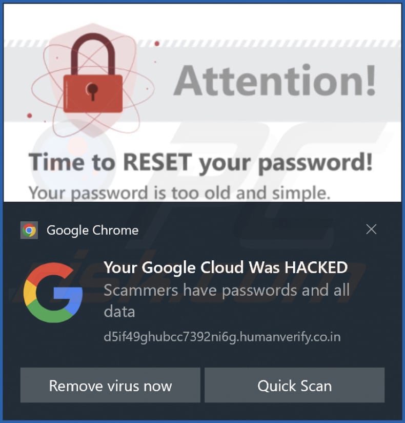 humanverify.co[.]in notification