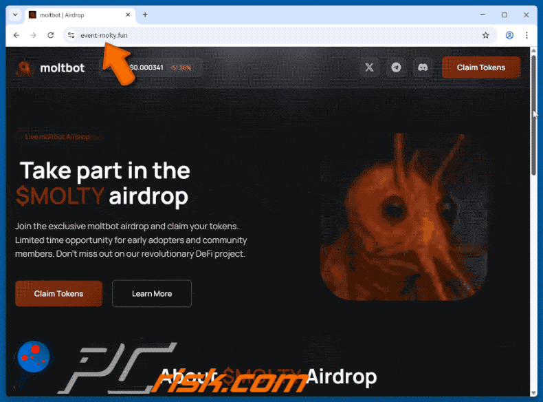 Appearance of moltbot ($MOLTY) Airdrop scam
