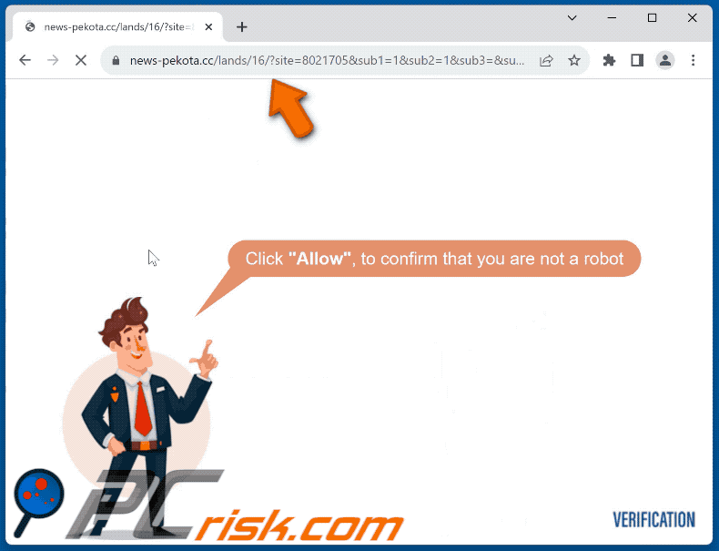 news-pekota[.]cc website appearance (GIF)