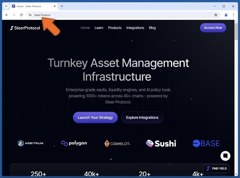 Appearance of the real Steer Protocol website (steer.finance)