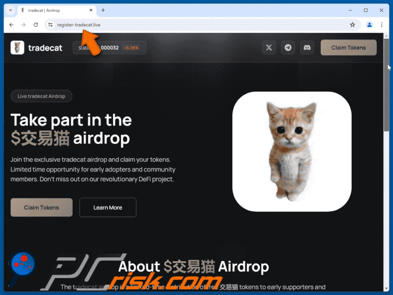 Appearance of the fake tradecat Airdrop website (GIF)