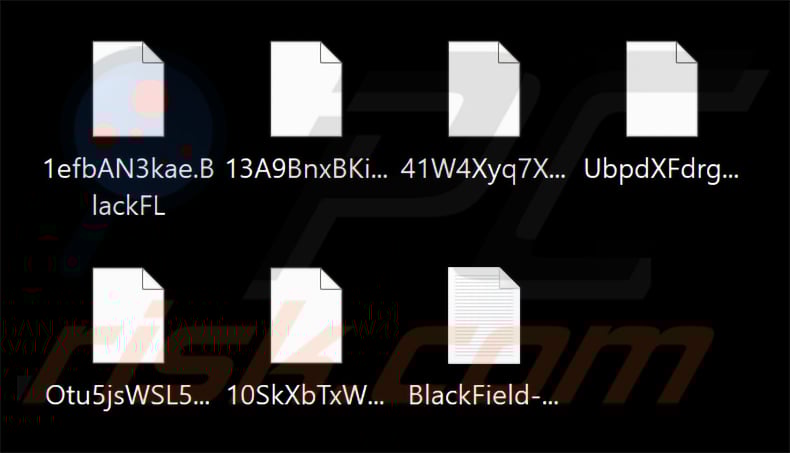 BlackFL (BlackField) encrypted files (2026-02-11)
