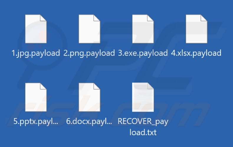 Files encrypted by Payload ransomware (.payload extension)
