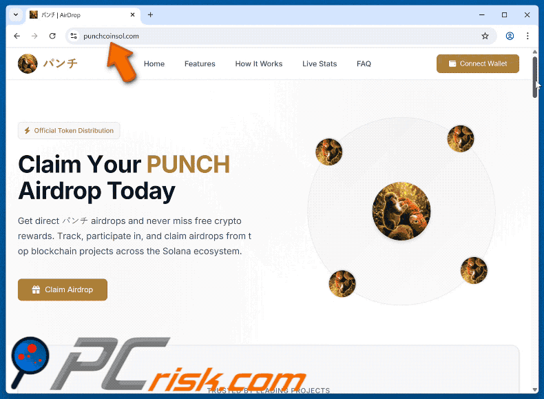 Appearance of $PUNCH Airdrop scam