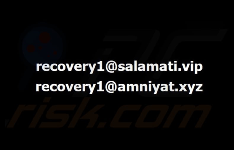 Bear ransomware wallpaper