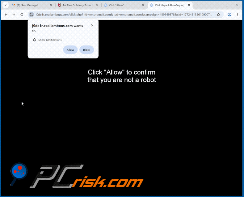 exallambous[.]com website appearance (GIF)