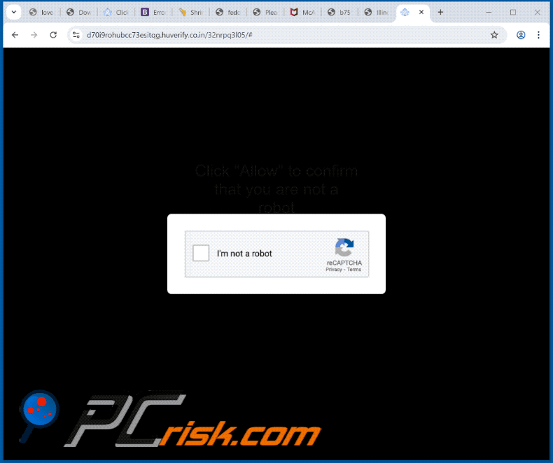 huverify.co[.]in website appearance (GIF)