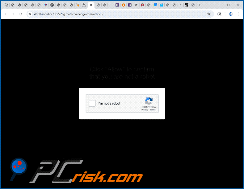 metachainedge[.]com website appearance (GIF)