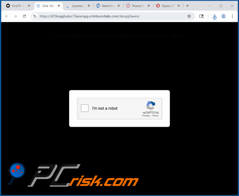orbitboostlabs[.]com website appearance (GIF)
