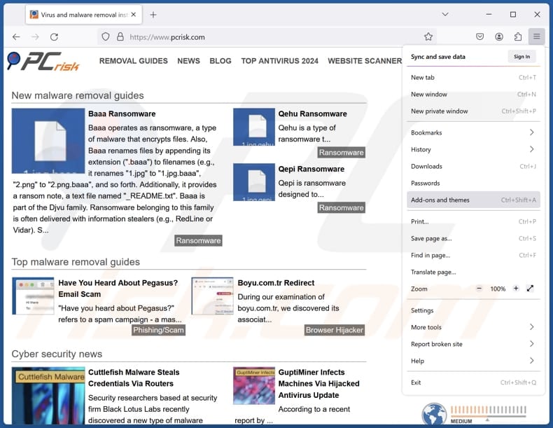 Removing Privacy Protector ads from Mozilla Firefox step 1