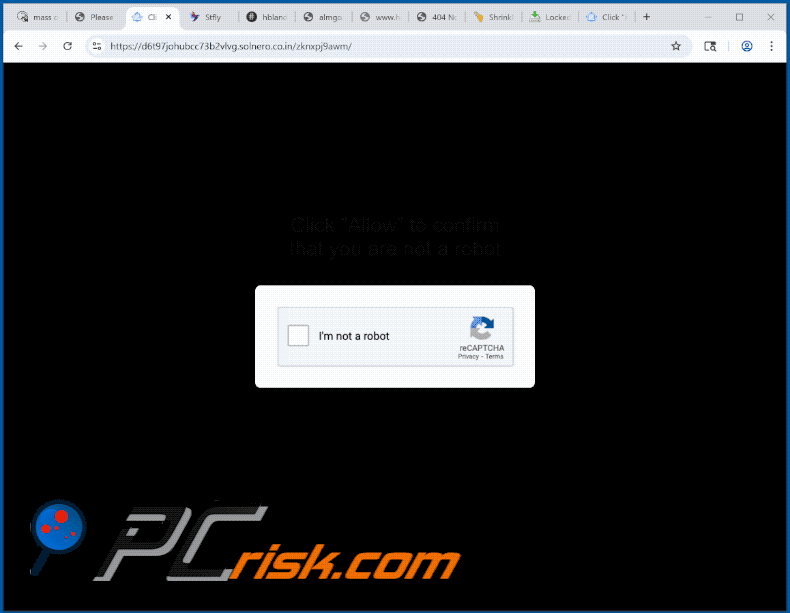 solnero.co[.]in website appearance (GIF)