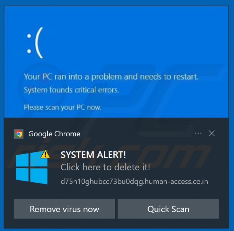 human-access.co[.]in notification