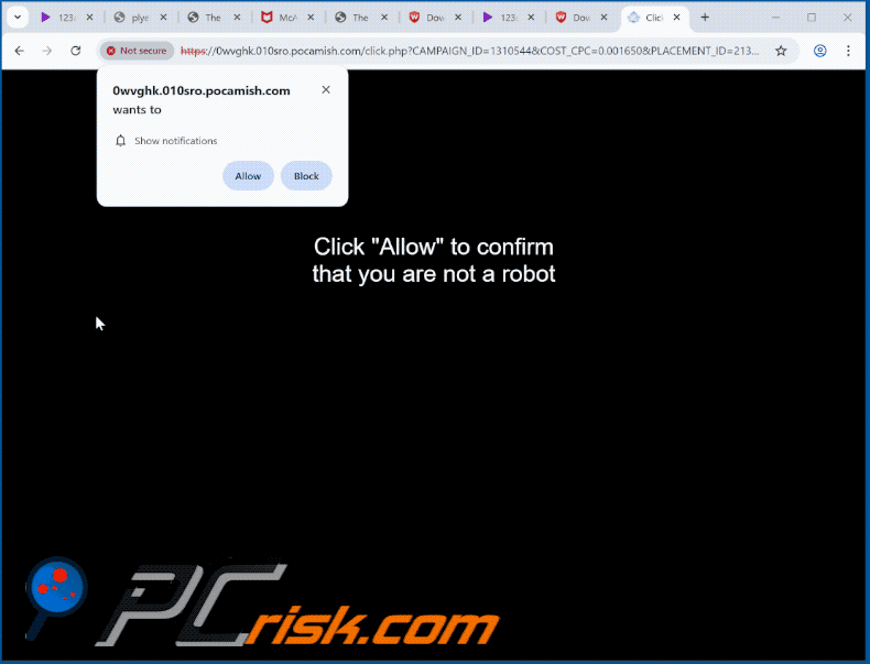 pocamish[.]com website appearance (GIF)