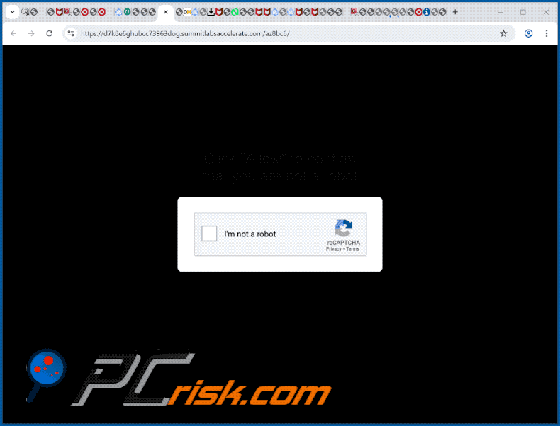summitlabsaccelerate[.]com website appearance (GIF)