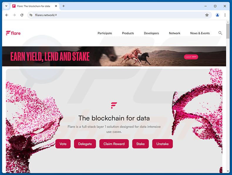 Fake Flare Portal website (fllares[.]network)