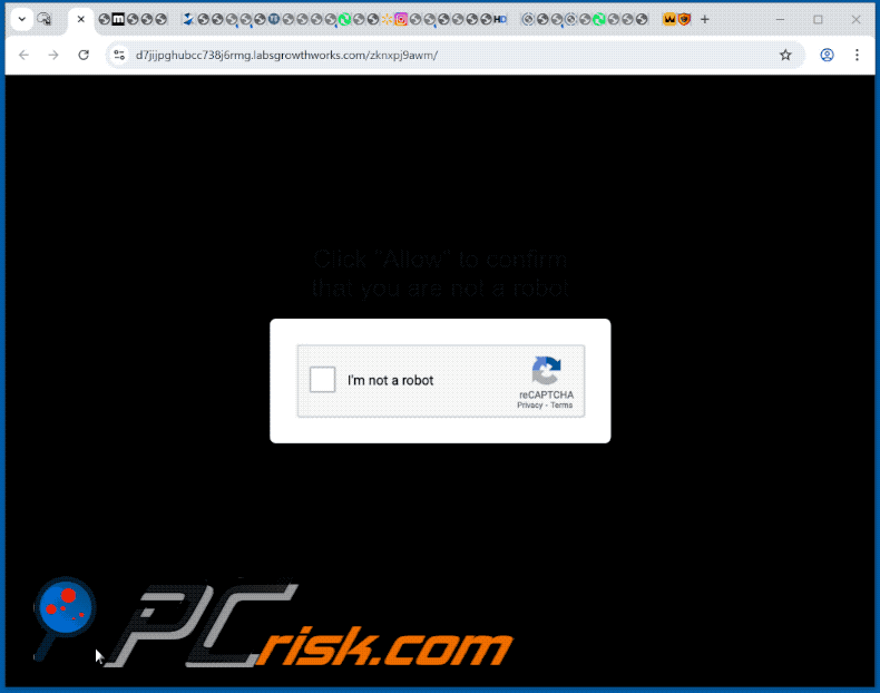 labsgrowthhub[.]com website appearance (GIF)