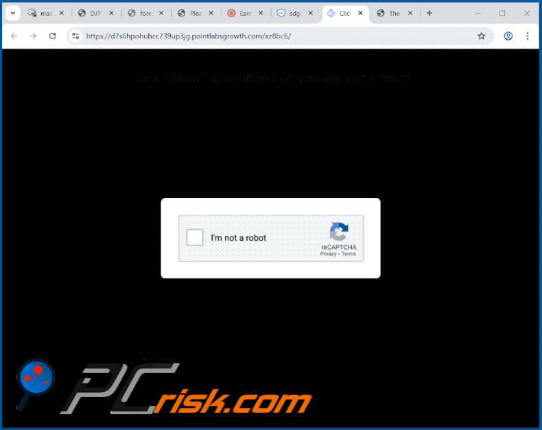 pointlabsgrowth[.]com website appearance (GIF)
