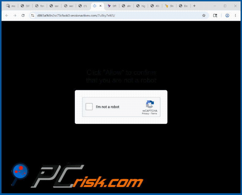 sessionactivex[.]com website appearance (GIF)