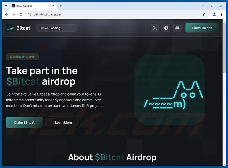 $Bitcat Airdrop Scam (claim-bitcat.pages[.]dev)