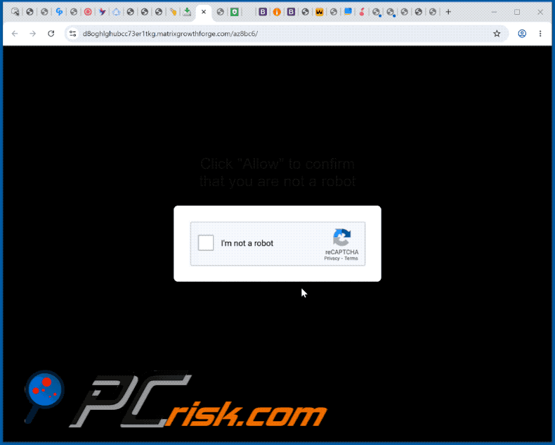matrixgrowthforge[.]com website appearance (GIF)