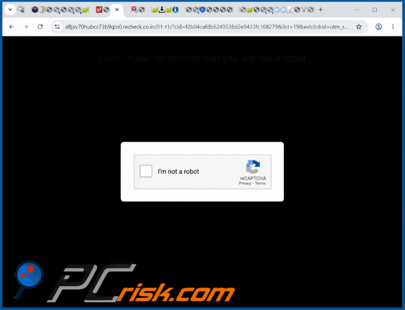 recheck[.]co.in website appearance (GIF)