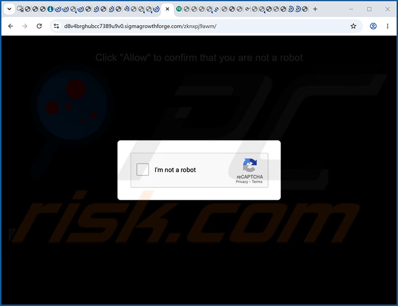 sigmagrowthforge[.]com ads