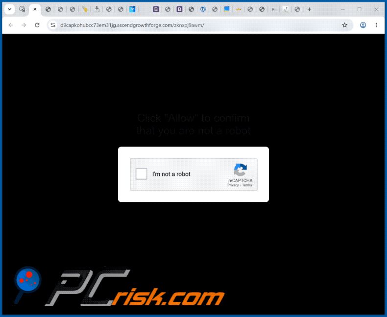 ascendgrowthforge[.]com website appearance (GIF)