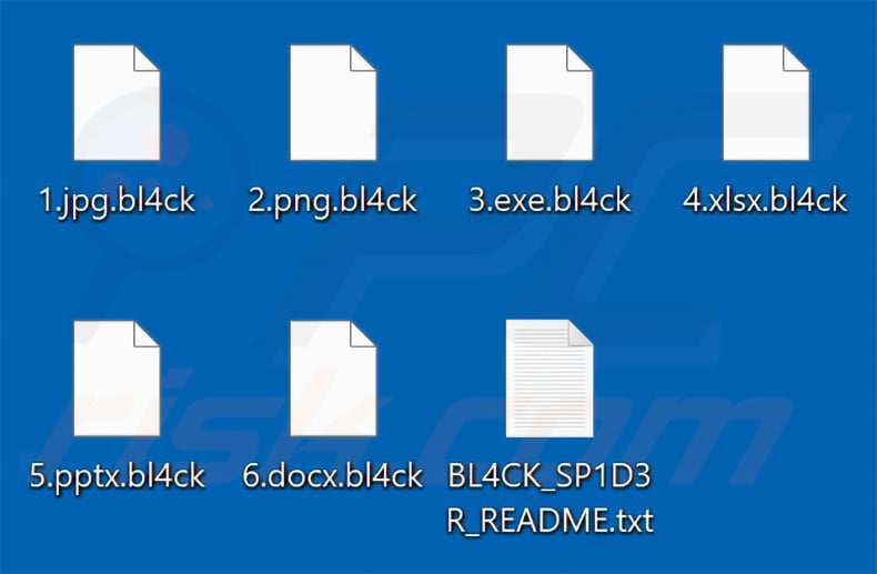 Files encrypted by BL4CK SP1D3R ransomware (.bl4ck extension)