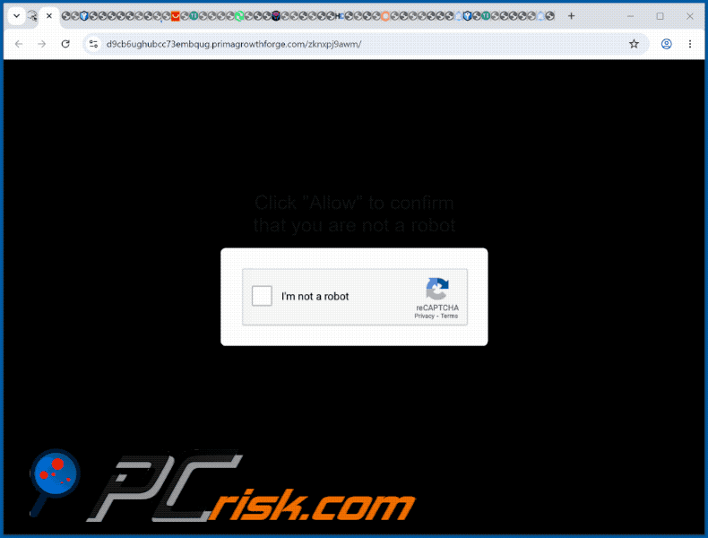 primagrowthforge[.]com website appearance (GIF)