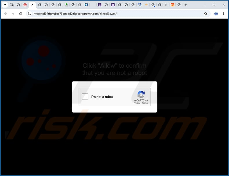 risecoregrowth[.]com ads
